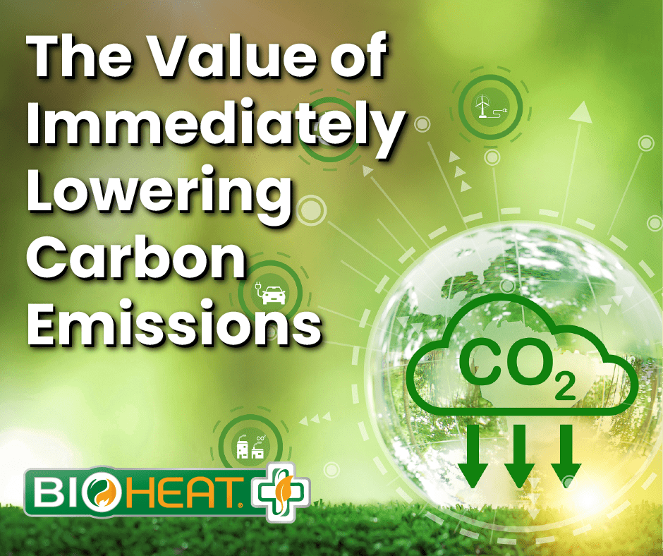 "The value of immediately lowering carbon emissions" caption on green background